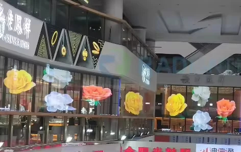 img_aliexpress_1765551270_2.jpeg 3